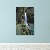 Dominica, Smaragdpoel, Waterval. Canvas Afdruk (Insitu (Houten vloer))