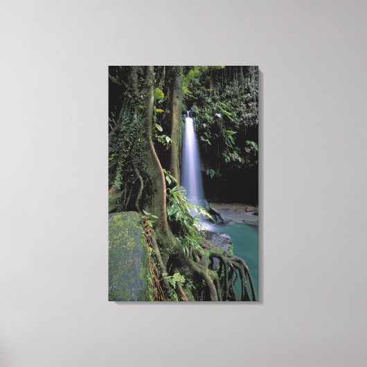 Dominica, Smaragdpoel, Waterval. Canvas Afdruk (Voorkant)