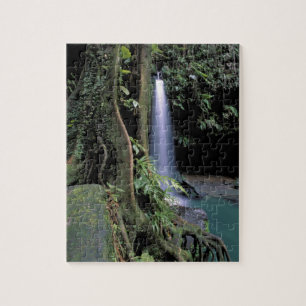 Dominica, Smaragdpoel, Waterval. Legpuzzel