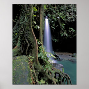 Dominica, Smaragdpoel, Waterval. Poster