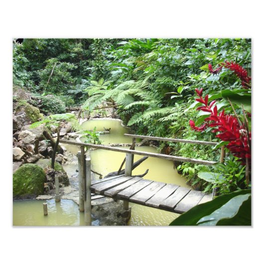 Dominica Sulpher-pools Foto Afdruk (Voorkant)