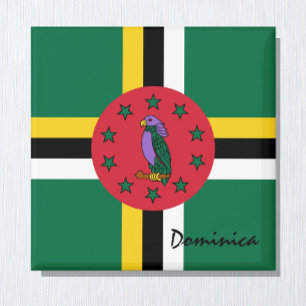 Dominica vlag & Amerikaanse vakantie- en sportfans Magneet