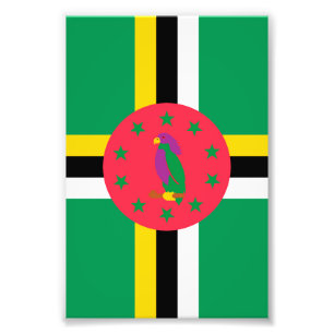 Dominica-vlag Foto Afdruk