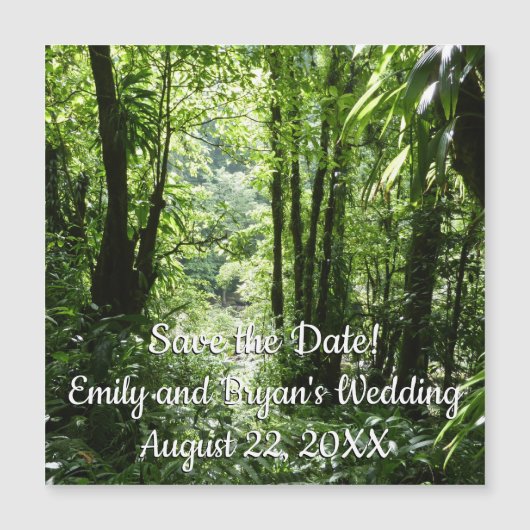 Dominicaans regenwoud II Tropisch groen (Voorkant)