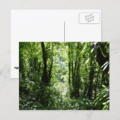 Dominicaans regenwoud II Tropisch groen Briefkaart (Voorkant / Achterkant)