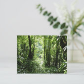 Dominicaans regenwoud II Tropisch groen Briefkaart (Staand voorkant)