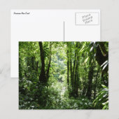 Dominicaans regenwoud II Tropisch groen Briefkaart (Voorkant / Achterkant)