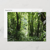 Dominicaans regenwoud II Tropisch groen Briefkaart (Voorkant / Achterkant)