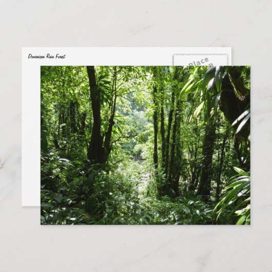Dominicaans regenwoud II Tropisch groen Briefkaart (Voorkant / Achterkant)