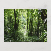 Dominicaans regenwoud II Tropisch groen Briefkaart (Voorkant)
