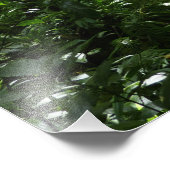 Dominicaans regenwoud II Tropisch groen Foto Afdruk (Hoek)