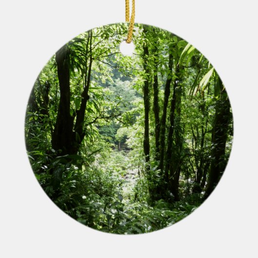 Dominicaans regenwoud II Tropisch groen Keramisch Ornament (Voorkant)