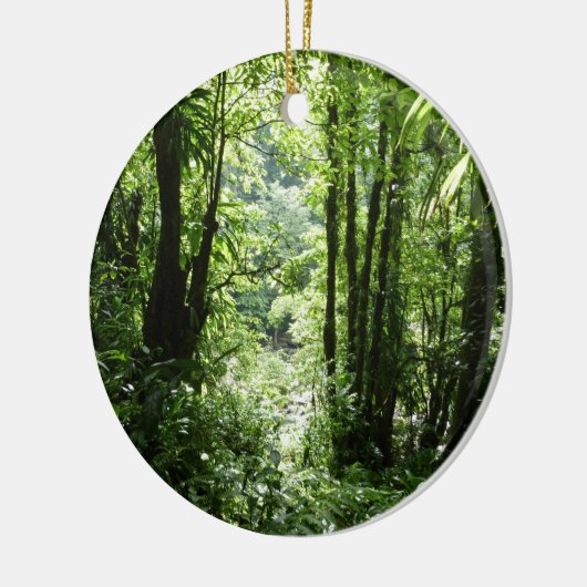 Dominicaans regenwoud II Tropisch groen Keramisch Ornament (Links)