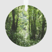 Dominicaans regenwoud II Tropisch groen Ornament (achterkant)