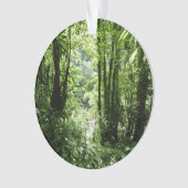Dominicaans regenwoud II Tropisch groen Ornament (voorkant)