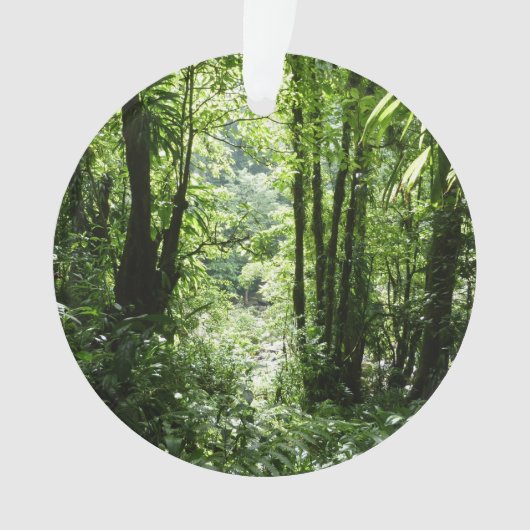 Dominicaans regenwoud II Tropisch groen Ornament (voorkant)