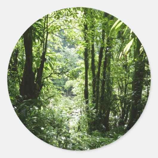 Dominicaans regenwoud II Tropisch groen Ronde Sticker (Voorkant)