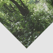 Dominicaans regenwoud II Tropisch groen Tissuepapier (Detail)