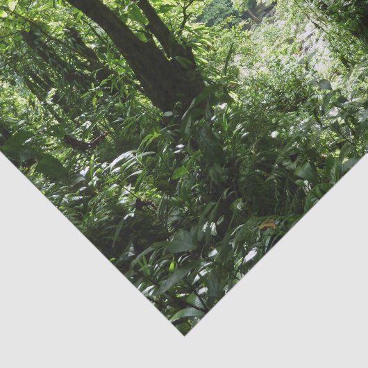 Dominicaans regenwoud II Tropisch groen Tissuepapier (Detail)