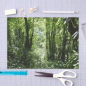 Dominicaans regenwoud II Tropisch groen Tissuepapier (Craft)