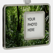Dominicaans regenwoud II Tropisch groen Verzilverd Omlijst Ornament (Rechts)