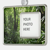 Dominicaans regenwoud II Tropisch groen Verzilverd Omlijst Ornament (Links)