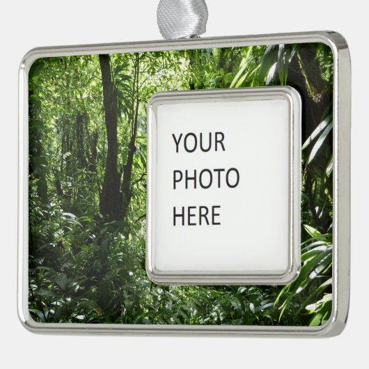 Dominicaans regenwoud II Tropisch groen Verzilverd Omlijst Ornament (Links)