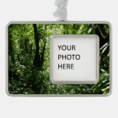 Dominicaans regenwoud II Tropisch groen Verzilverd Omlijst Ornament (Voorkant)