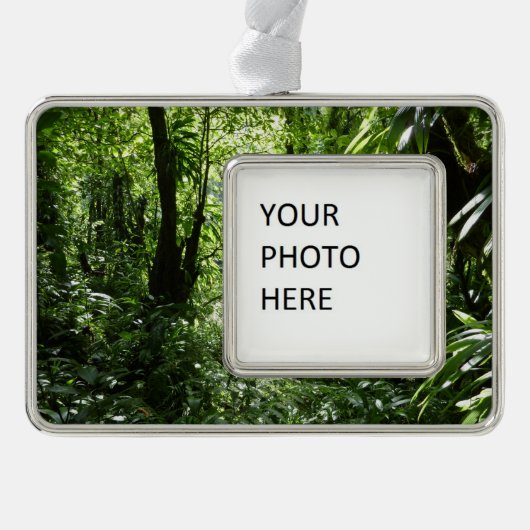 Dominicaans regenwoud II Tropisch groen Verzilverd Omlijst Ornament (Voorkant)