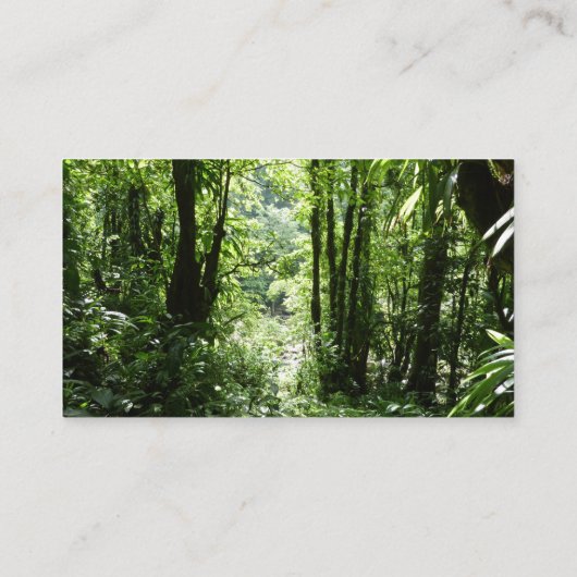 Dominicaans regenwoud II Tropisch groen Visitekaartje (Achterkant)