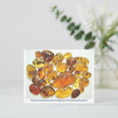 Dominicaanse amber met diverse insluitingen van in briefkaart (Staand voorkant)