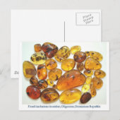 Dominicaanse amber met diverse insluitingen van in briefkaart (Voorkant / Achterkant)