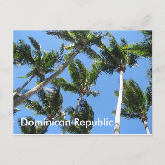 Dominicaanse palmbriefkaart briefkaart (Voorkant)