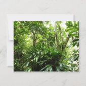 Dominicaanse Regenwoud I Tropische Groene Natuur (Voorkant)