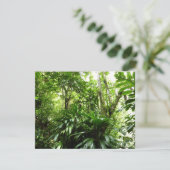 Dominicaanse Regenwoud I Tropische Groene Natuur (Staand voorkant)