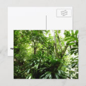 Dominicaanse Regenwoud I Tropische Groene Natuur Briefkaart (Voorkant / Achterkant)