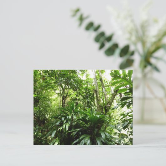 Dominicaanse Regenwoud I Tropische Groene Natuur Briefkaart (Staand voorkant)
