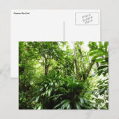 Dominicaanse Regenwoud I Tropische Groene Natuur Briefkaart (Voorkant / Achterkant)