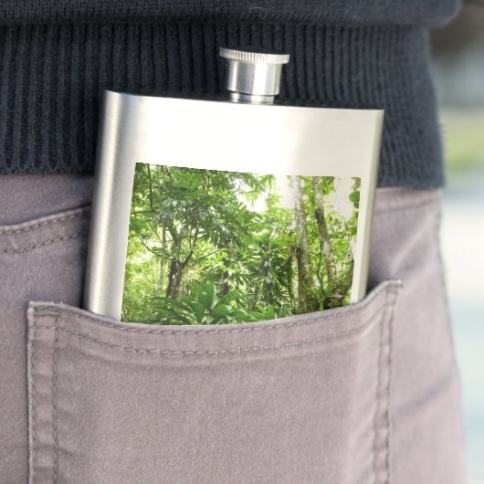 Dominicaanse Regenwoud I Tropische Groene Natuur Flacon (Voorbeeld)