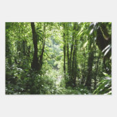 Dominicaanse Regenwoud I Tropische Groene Natuur Inpakpapier Vel (Voorkant 2)
