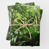 Dominicaanse Regenwoud I Tropische Groene Natuur Inpakpapier Vel (In situ)