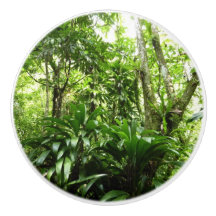 Dominicaanse Regenwoud I Tropische Groene Natuur