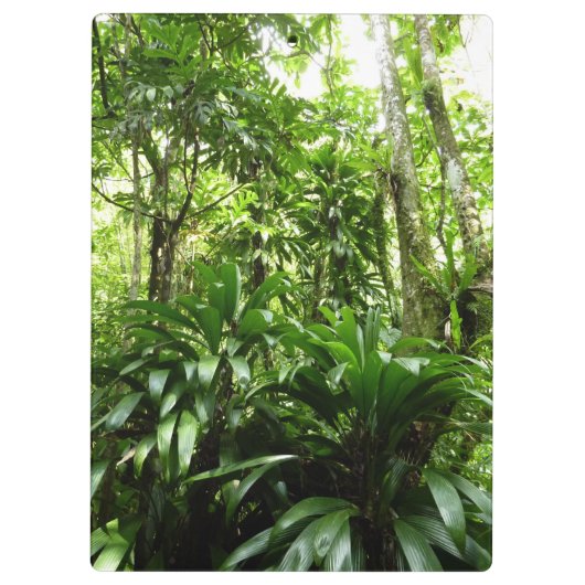 Dominicaanse Regenwoud I Tropische Groene Natuur Klembord (Achterkant)