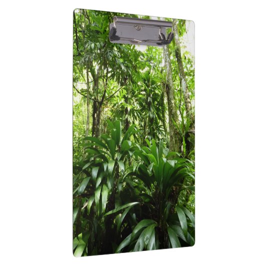 Dominicaanse Regenwoud I Tropische Groene Natuur Klembord (Rechts)