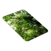 Dominicaanse Regenwoud I Tropische Groene Natuur Magneet (Rechterzijde)