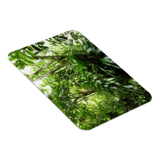 Dominicaanse Regenwoud I Tropische Groene Natuur Magneet (Rechterzijde)