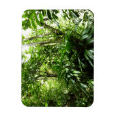 Dominicaanse Regenwoud I Tropische Groene Natuur Magneet (Verticaal)