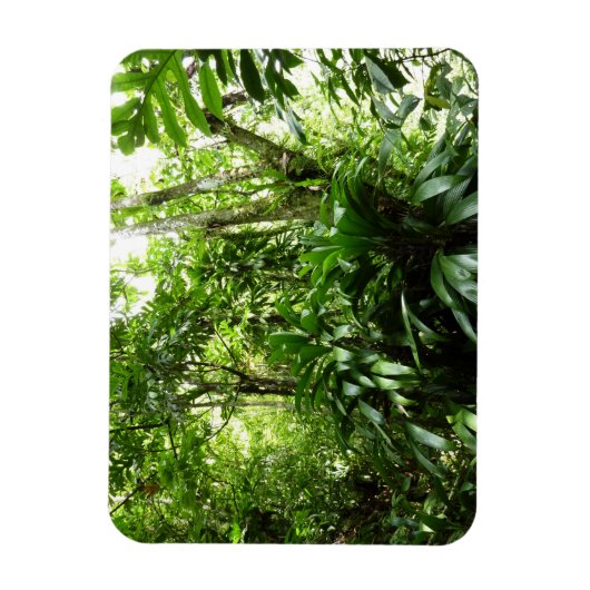 Dominicaanse Regenwoud I Tropische Groene Natuur Magneet (Verticaal)