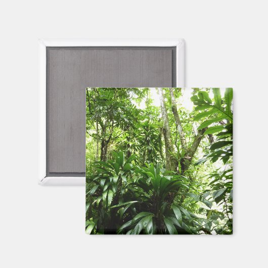Dominicaanse Regenwoud I Tropische Groene Natuur Magneet (Voorkant / Achterkant)