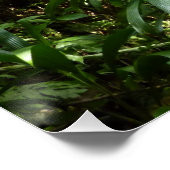 Dominicaanse Regenwoud I Tropische Groene Natuur Poster (Hoek)